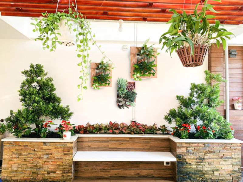 Sử dụng cây cối treo trên tường